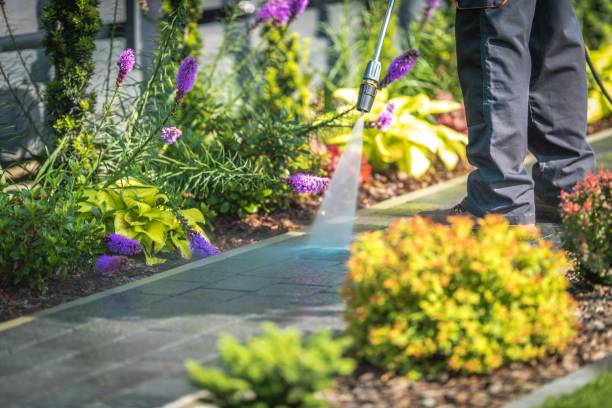 Best Spring Cleaning  in White Horse, NJ