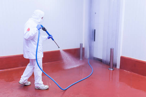 Best Solar Panel Cleaning  in White Horse, NJ